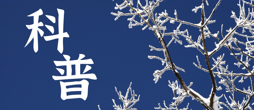 科普 | 冬季雨雪天氣?；愤\(yùn)輸車輛注意事項(xiàng)