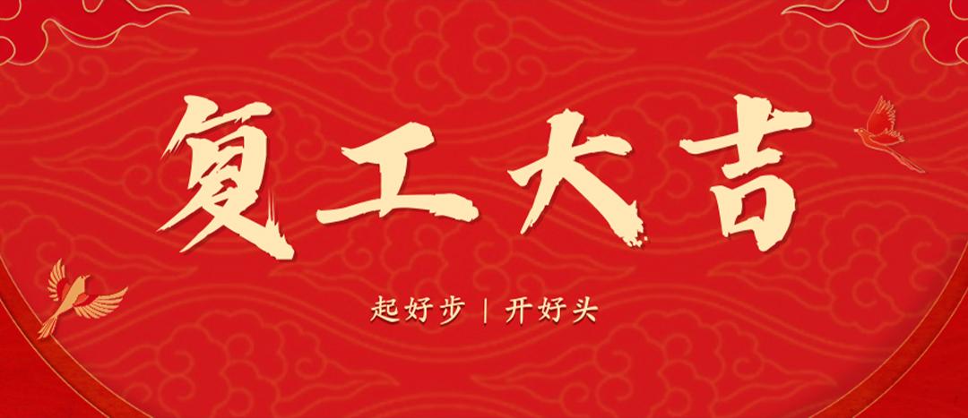 <strong>上好開工第一課，干出新年新氣象--海龍化工召開春節(jié)后復工復產專題部署會議</strong>